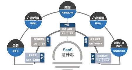36氪首發 | 中農普惠獲4000萬元Pre-A輪融資，以種植SaaS為基石，深耕果蔬供應鏈服務